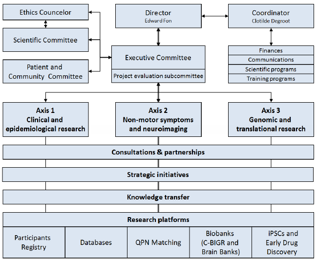 Organization of the RPQ and relations between the direction, the executive committee and various committees: scientific, ethical and communitarian. As a next step, the network is organized into three distinct research axes with their associated research platforms.